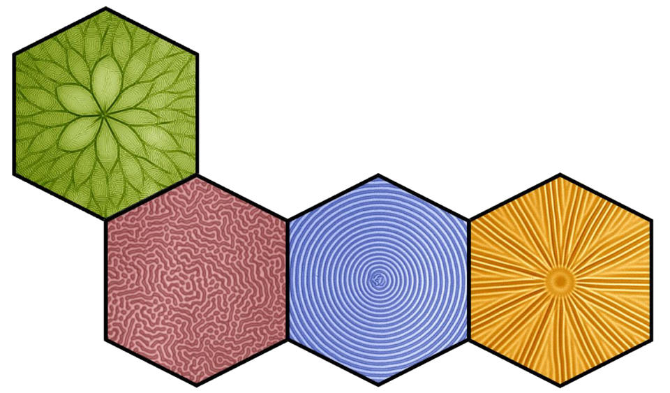 Collage of various filtration membranes that have been wrinkled to reveal their mechanical properties. The patterns include spokes, a flower, concentric rings, and random wrinkles. 