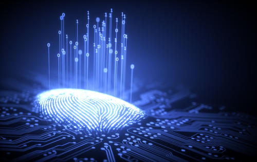 Image representing biometrics