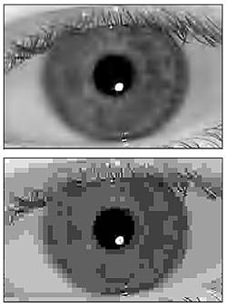 top image: black and white iris. bottom image: pixelated black and white iris image.