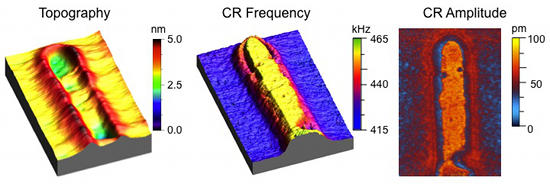 CR-AFM views of a Cu line embedded into a low-k dielectric material (http://nanotechweb.org/cws/article/lab/49833).