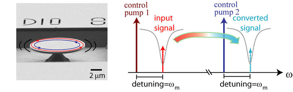 SEM of resonant disk and diagram showing relationship of the input signal to the converted signal
