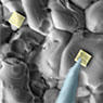 SEM of nano-contacts used to interrogate grains and grain boundaries