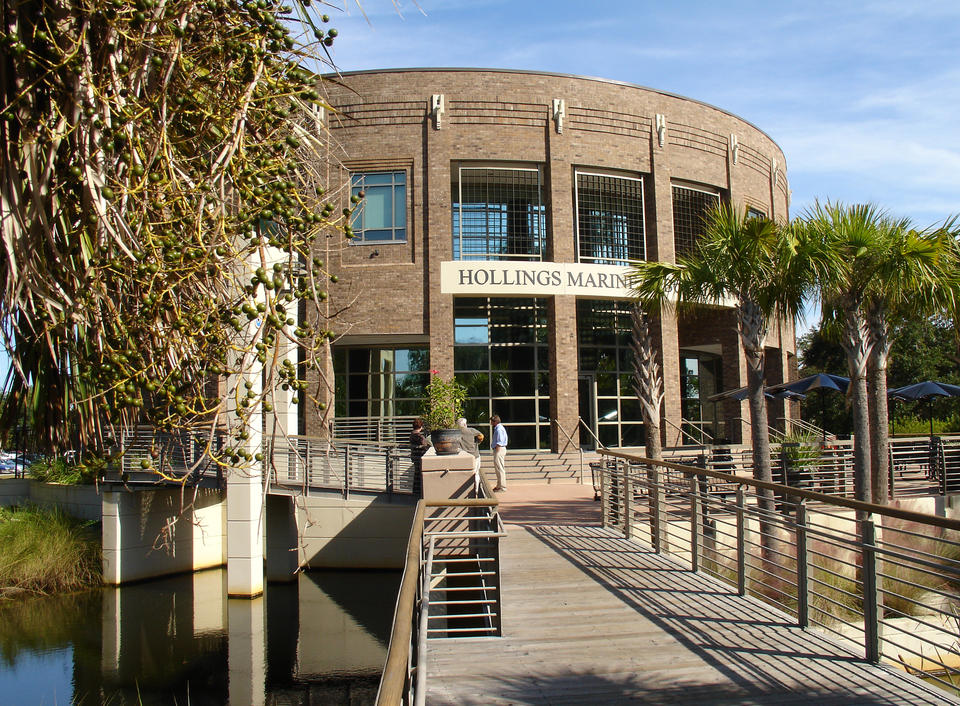 Three people are talking in front of a brown brick building on the water with the words Hollings Marine visible over the door. Palm trees are nearby.