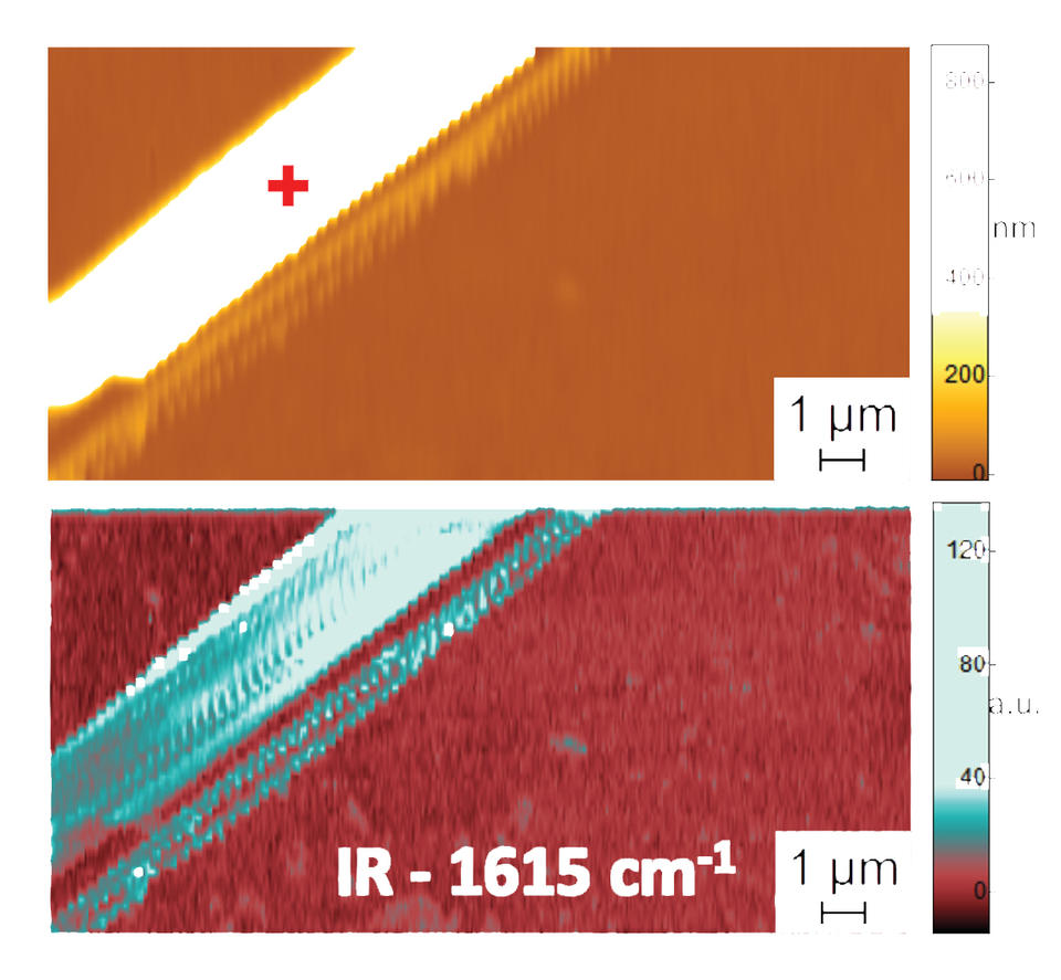 a pair of false-color images showing a peptide on the scale of a millionth of a meter