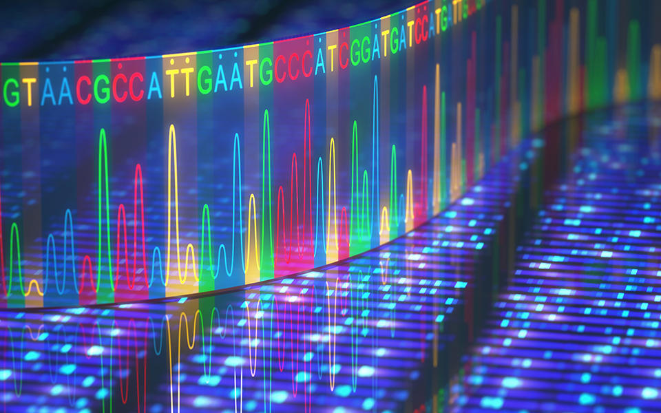 a stylized graphic of a ribbon of multicolored A's, C's, T's, and G's astride an electrophoresis readout