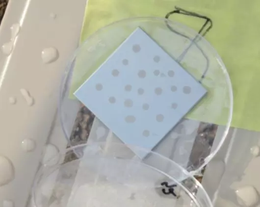 image of yeast material