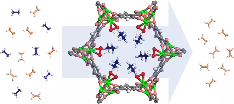 Etheylene and ethane molecules pass through a ring-shaped MOF structure, which attracts and filters out the ethane