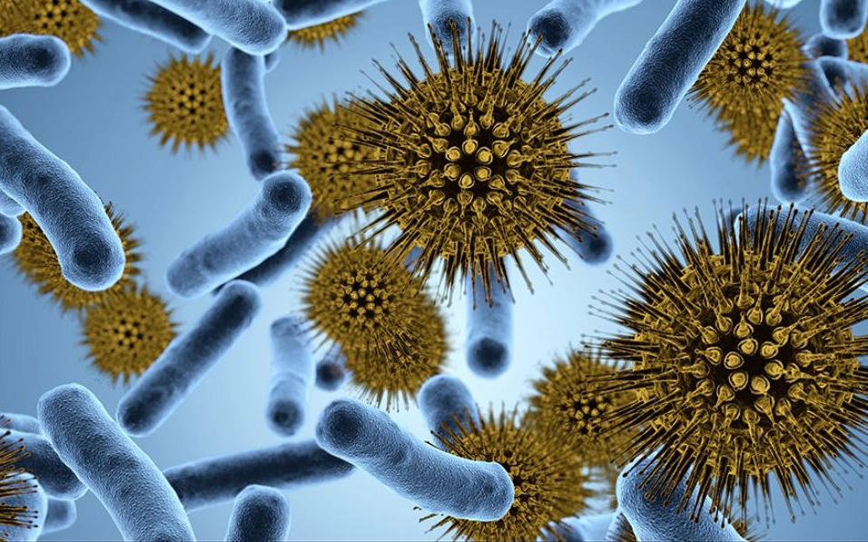 showing representations of various microorganisms