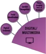 Digital/Multimedia SAC wedge