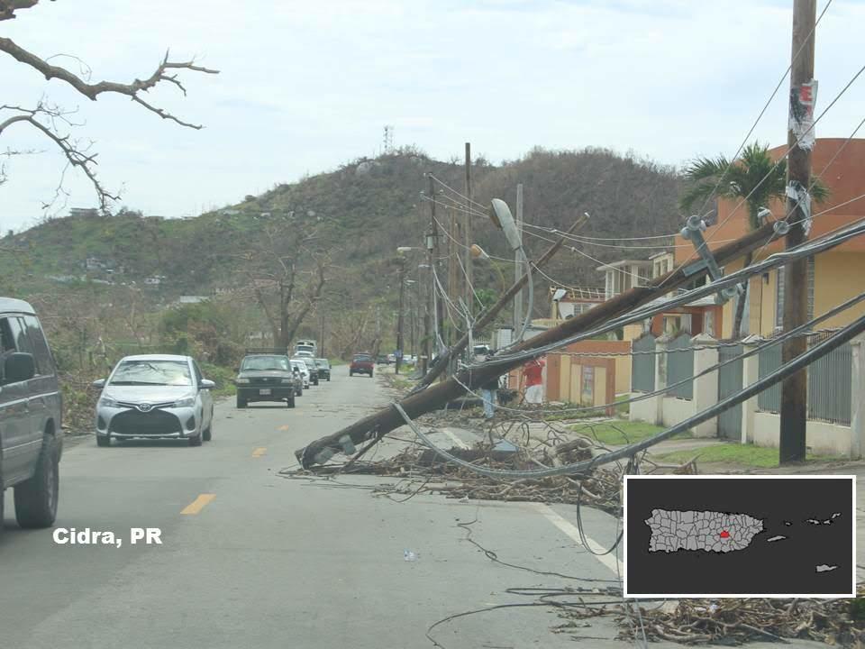 Downed Power Line