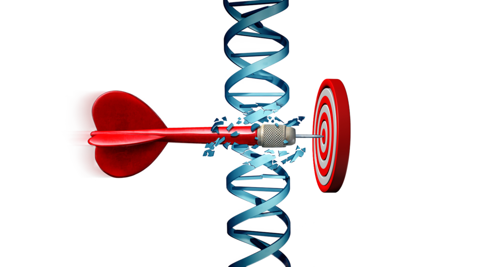 An arrow cutting through DNA and hitting target