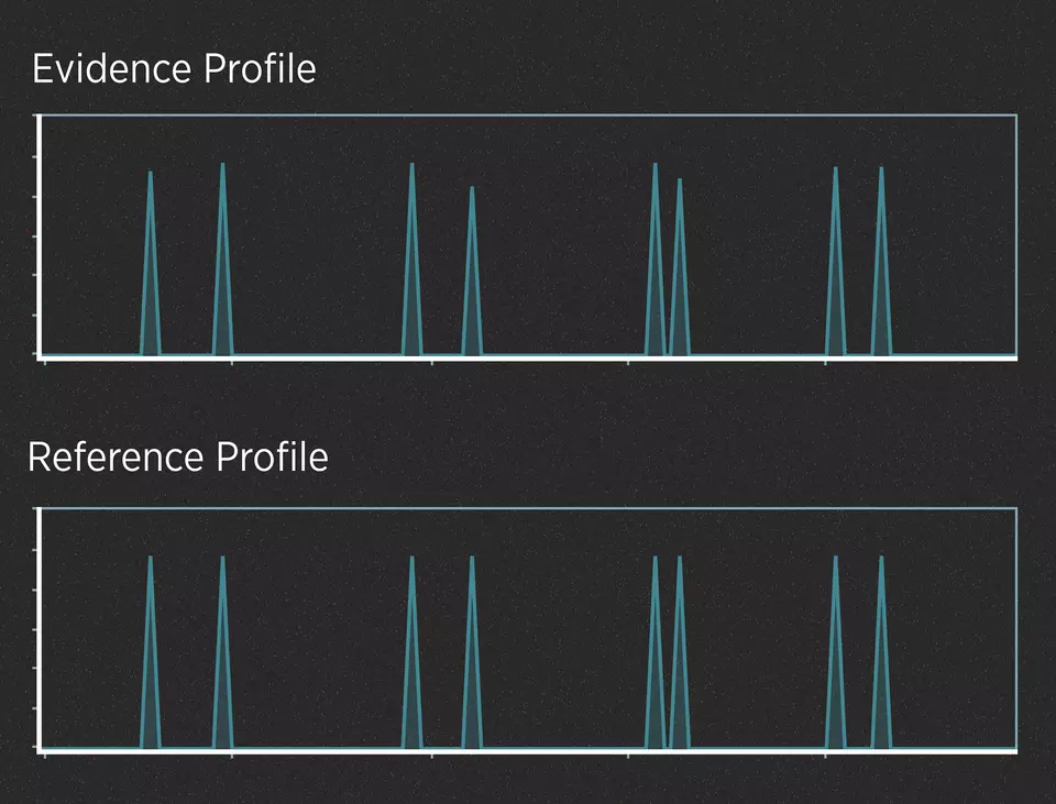 Two series of peaks on a black background, one labeled, “Evidence Profile,” and the other labeled, “Reference Profile.” 