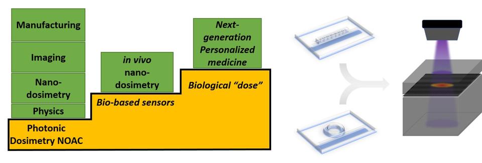 photonic dosimetry images