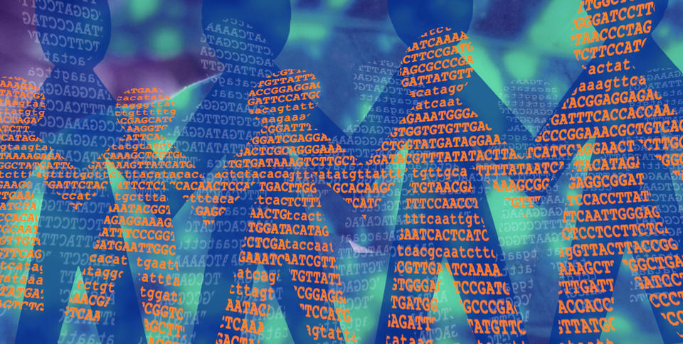 A colorful illustration of showing human-like figures with the letters A, G, T, and C.