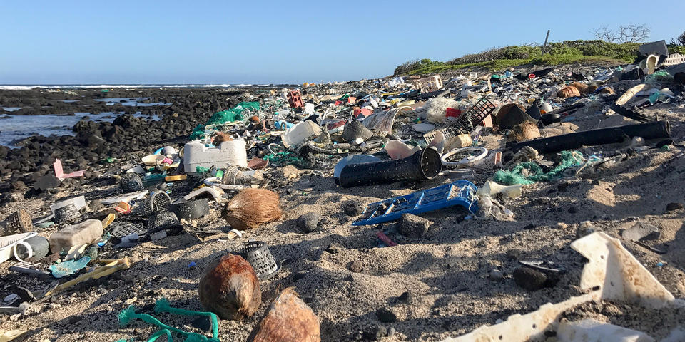 plastic strewn beach