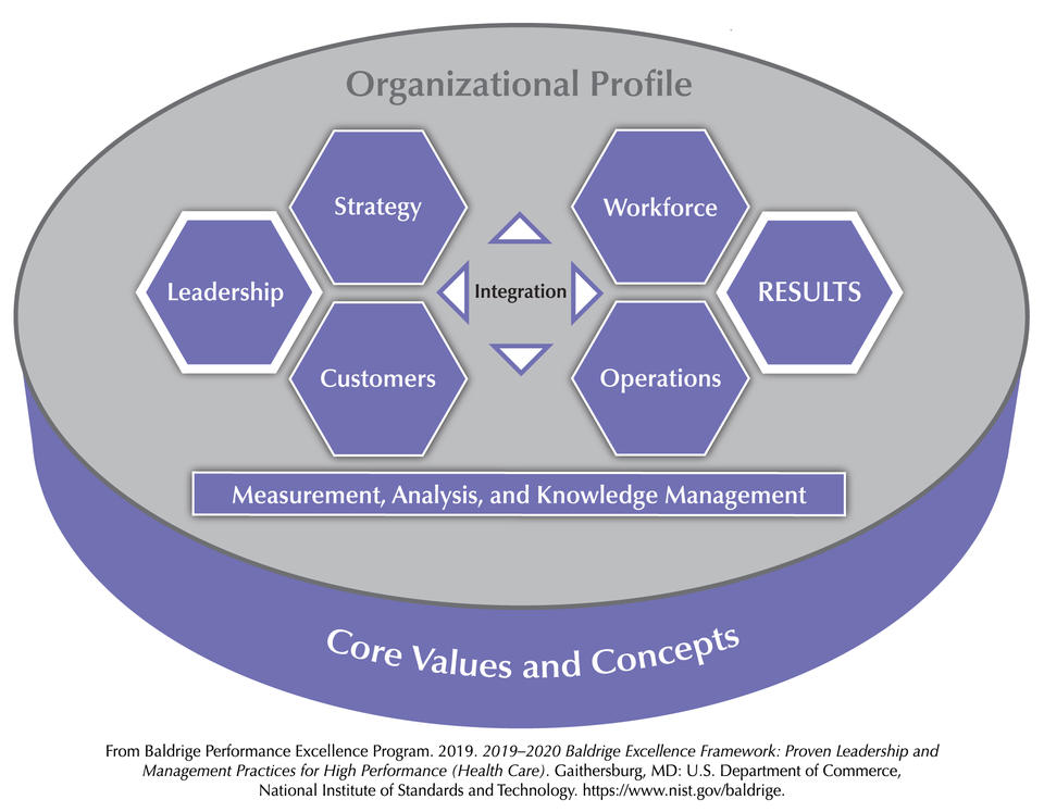 The Baldrige Health Care Criteria for Performance Excellence Overview consists of the six categories (Organizational Profile, Leadership, Strategy, Customers, Measurement, Analysis, and Knowledge Management, Workforce, Operations, and Results).