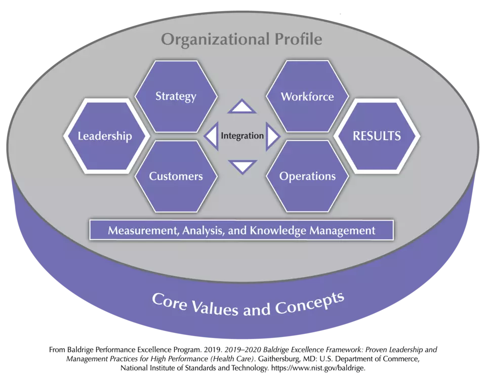 The Baldrige Health Care Criteria for Performance Excellence Overview consists of the six categories (Organizational Profile, Leadership, Strategy, Customers, Measurement, Analysis, and Knowledge Management, Workforce, Operations, and Results).