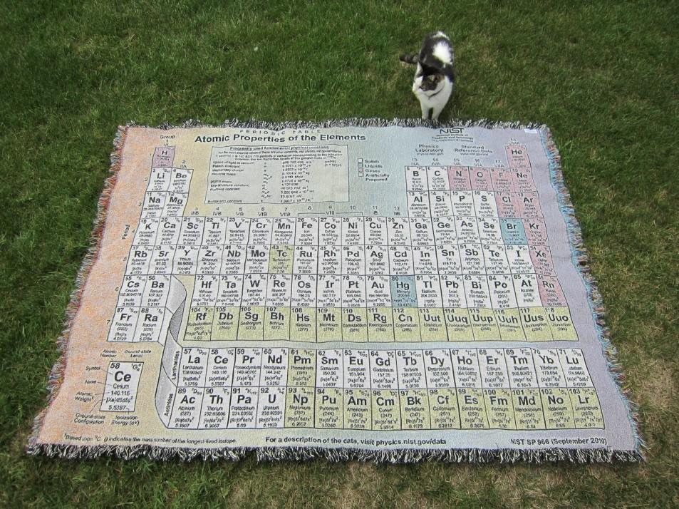 Cat with periodic table rug