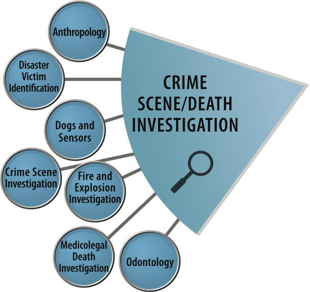 OSAC Crime Scene Death Investigation SAC lgog