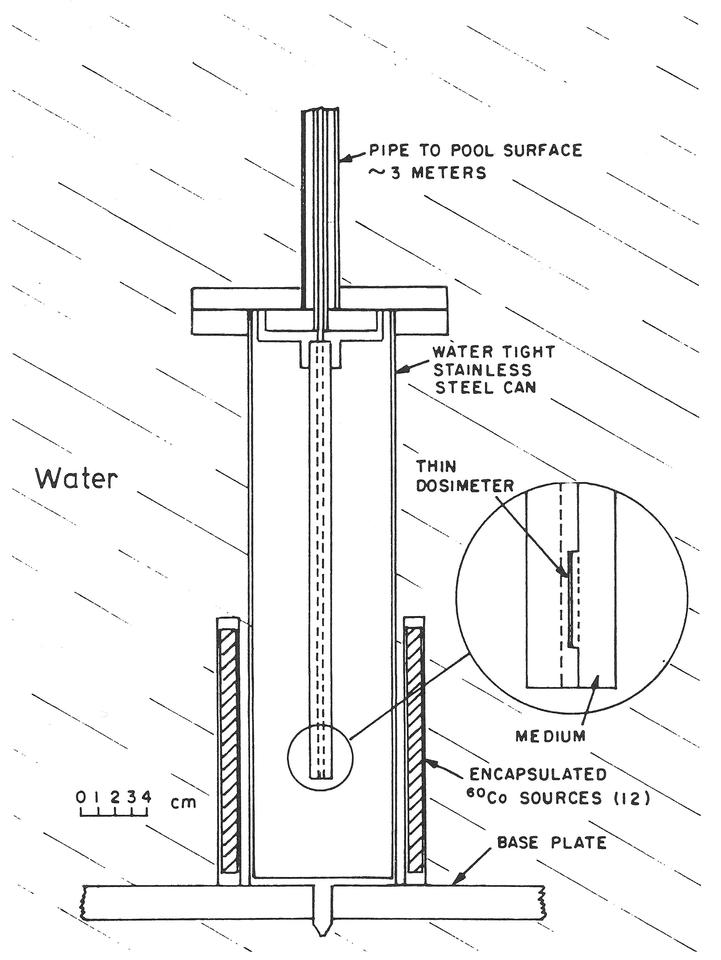 Schematic of sample holder placement in pool source irradiator