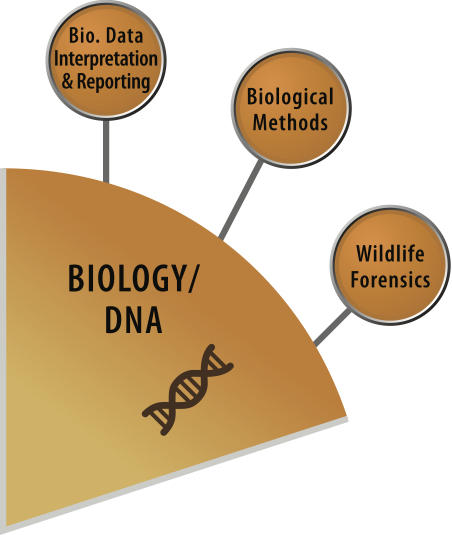 OSAC Biology/DNA SAC logo