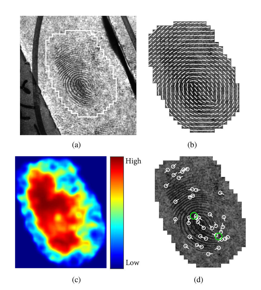 3 black and white and 1 color fingerprint image