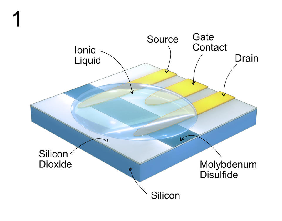 Cdk5 sensor Image 1