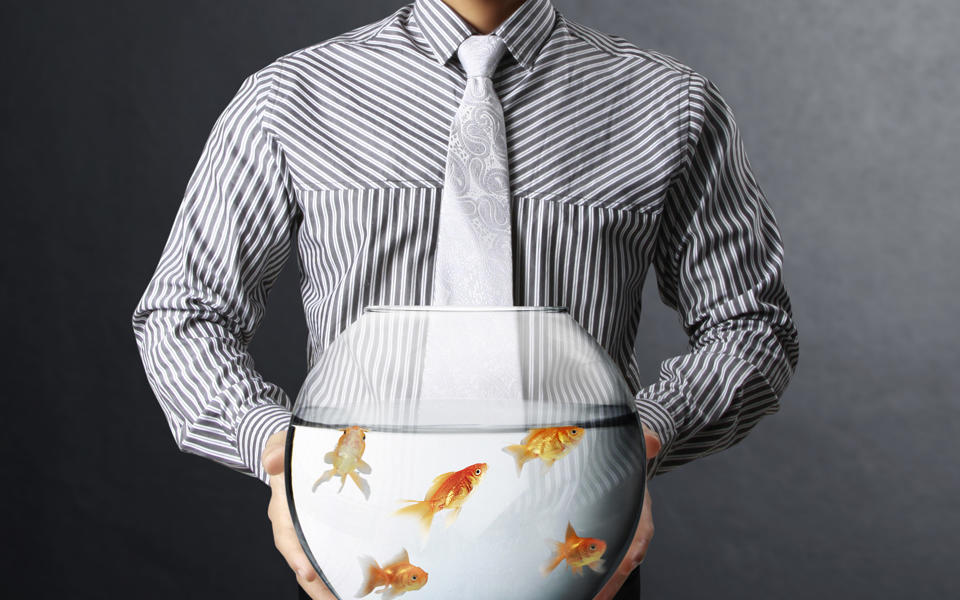 Seth Mattison Quest 30th Keynote Speaker blog photo showing a business man holding a fish bowl with gold fish swimming around.