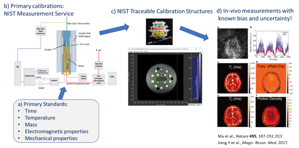 MRI biomarker measurement service