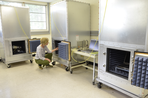A woman looks into an opening in a tall metal box.