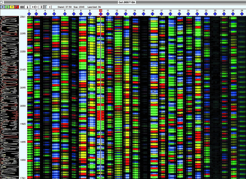 vertical columns of lines in bright colors