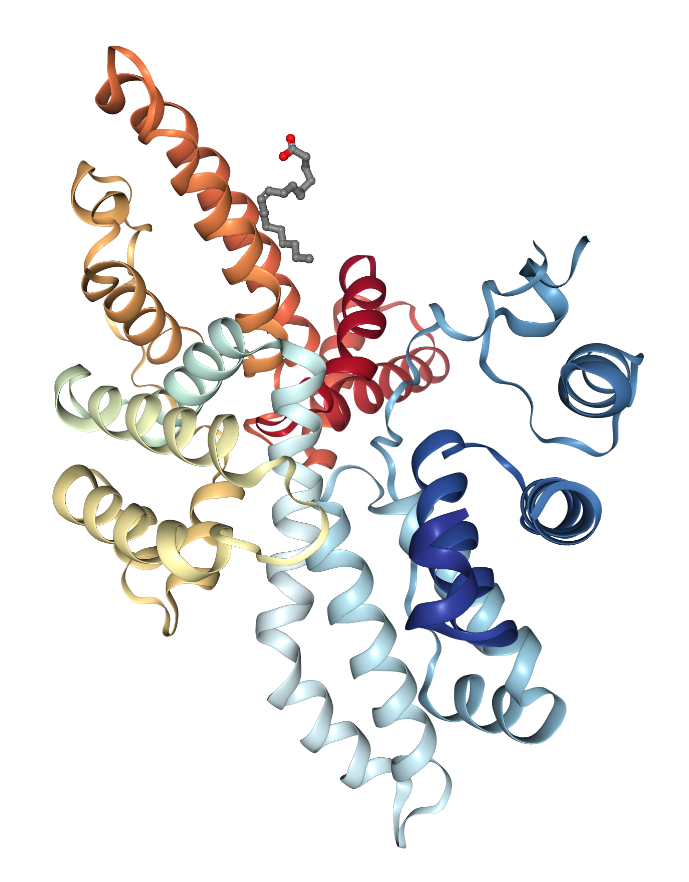 Human Vitamin D Binding Protein in complex with 25-hydroxyvitamin D3