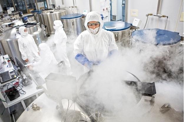 Photograph of a researcher accessing samples stored in a liquid nitrogen vapor freezer in a clean room.