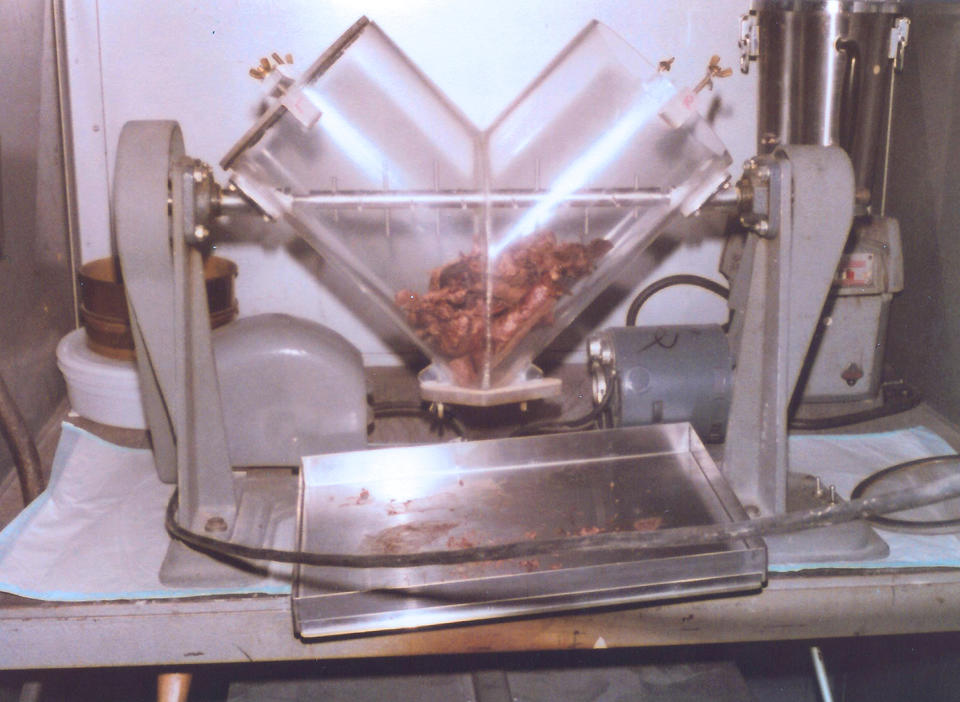 A pair of chopped up human lungs in a large "V" shaped blender.