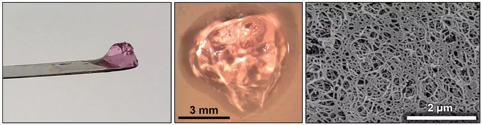 polysaccharide hydrogel
