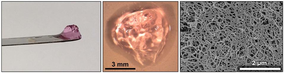 polysaccharide hydrogel