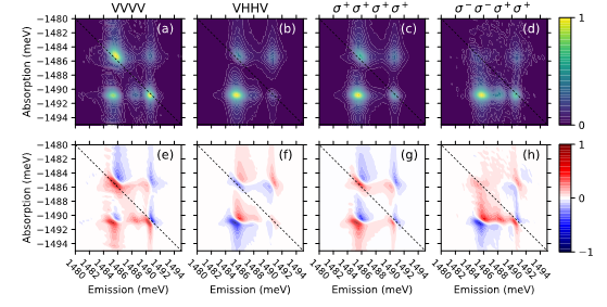 Example polarization-dependent data from the semiconductor microcavity.