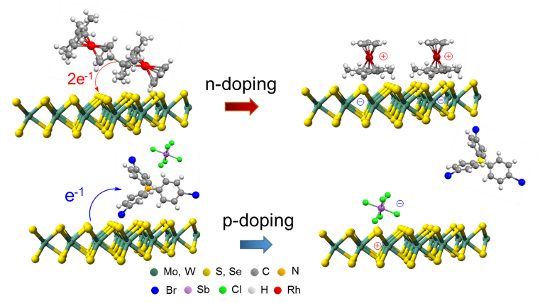 Schematic of interface engineering 2D materials.