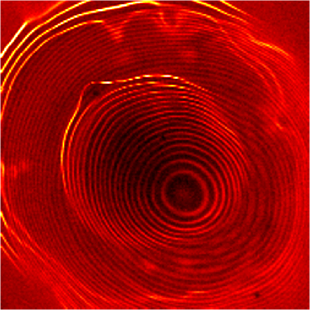 STM image of electrons in two coupled quantum dots