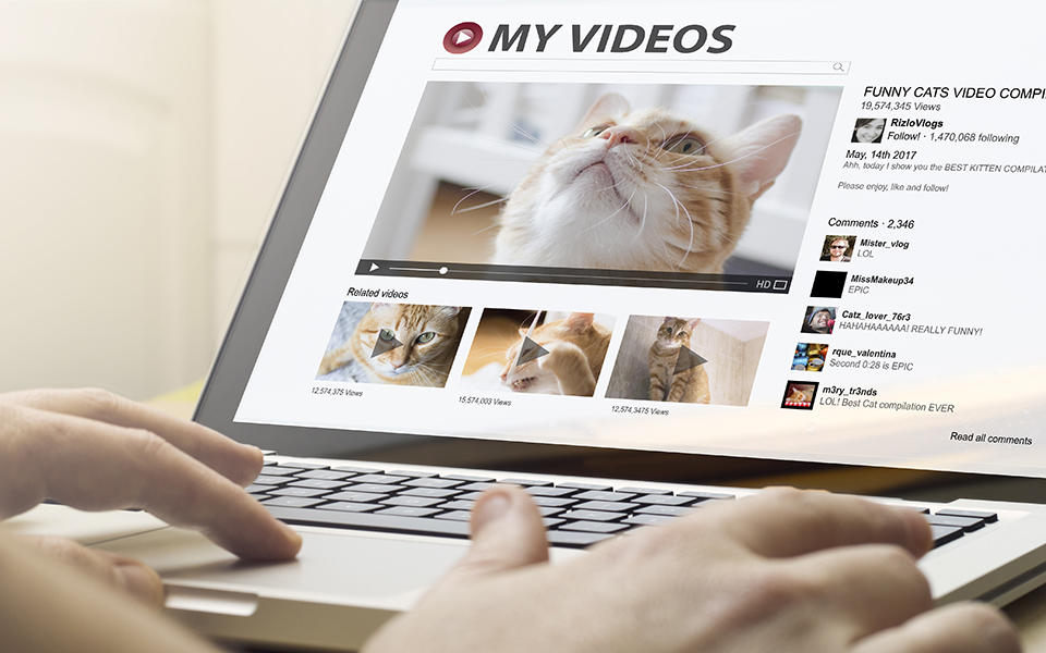 YouTube like interface on a laptop screen. The text on the screen reads "my videos" and there are several tiles displaying various cat videos below.