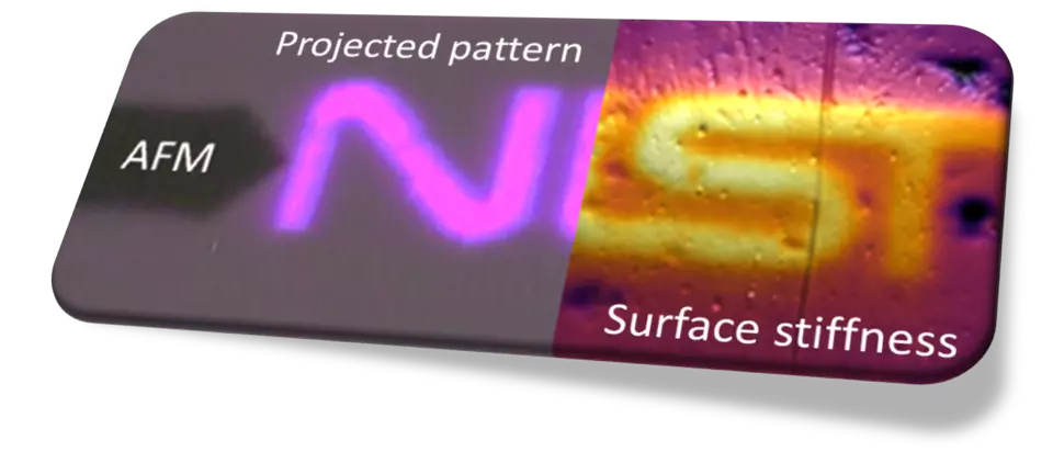 An image showing the hybrid AFM + SLA system from the SPM4AMP project