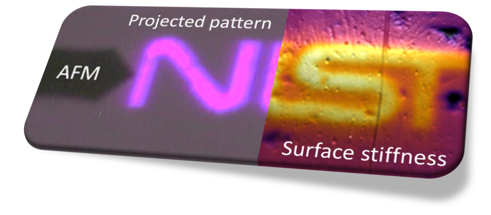 An image showing the hybrid AFM + SLA system from the SPM4AMP project