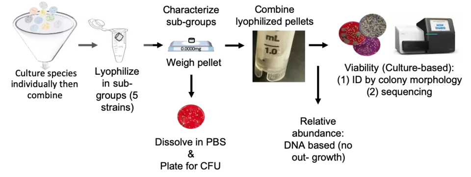DARPA IV&V Workflow