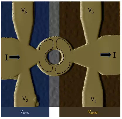 Quantum Topological Systems