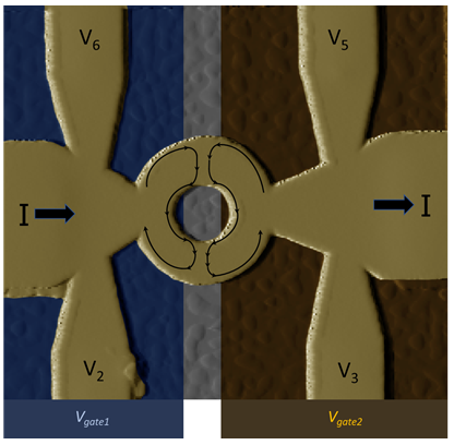 Quantum Topological Systems