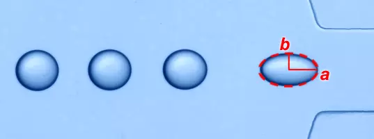A series of drops of one liquid flowing in another through a microchannel, extending when they accelerate through a constriction