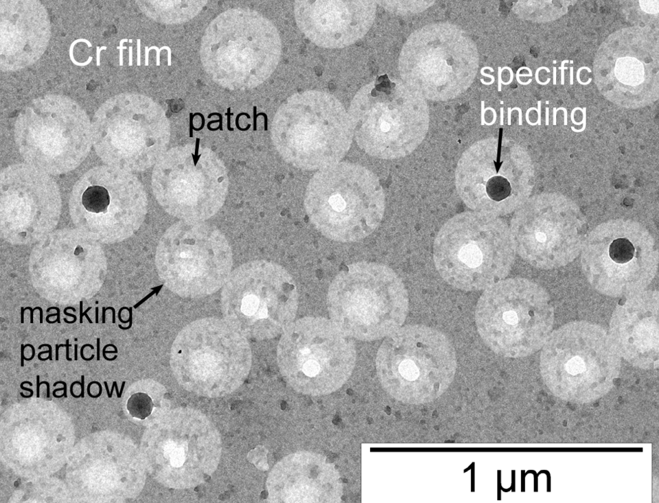 images of 300 nm patchy particles