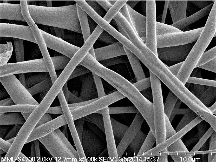 DiameterJ thumbnail: SEM of polymer nanofibers
