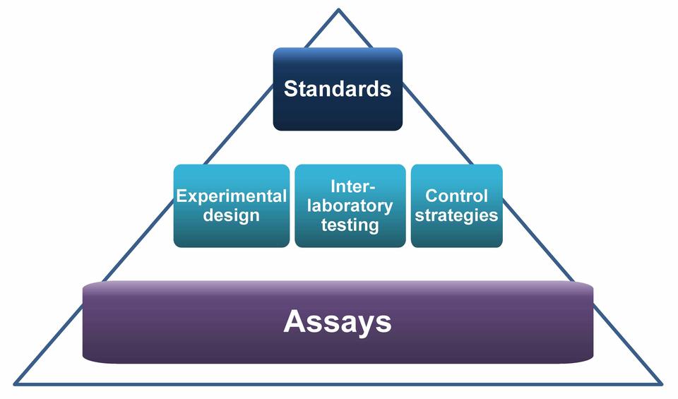 standards pyramid