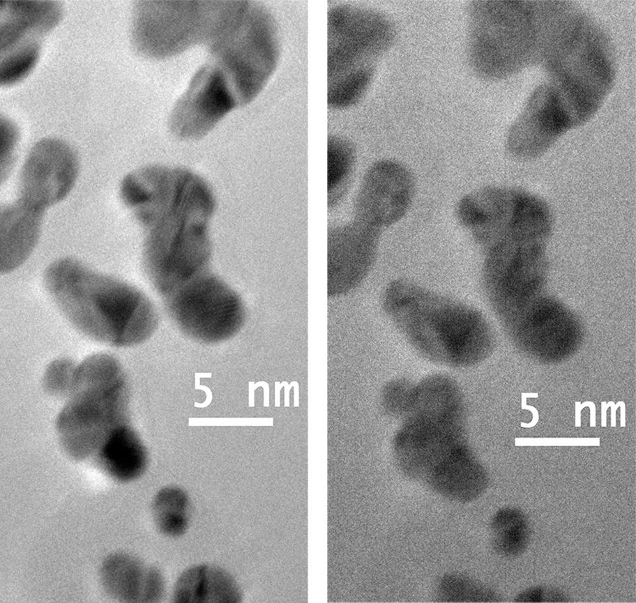 Black and white images of peanut-shaped blotches on two side to side panels, with the right-hand image almost as clear as the left-hand image.